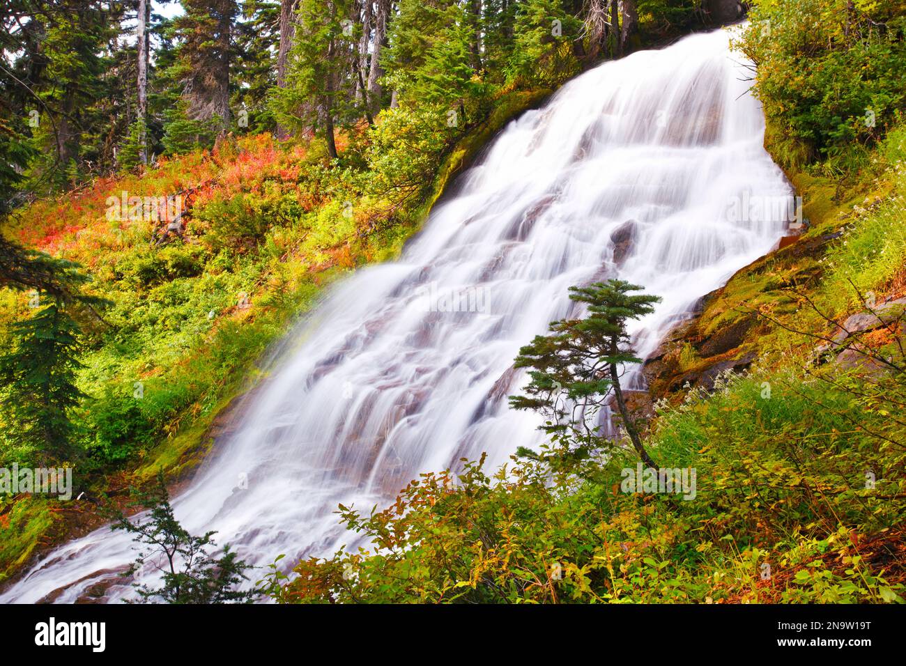 Die Herbstfarben verleihen den Umbrella Falls im Mount Hood National Forest, Oregon, USA, und Oregon, USA, Schönheit Stockfoto