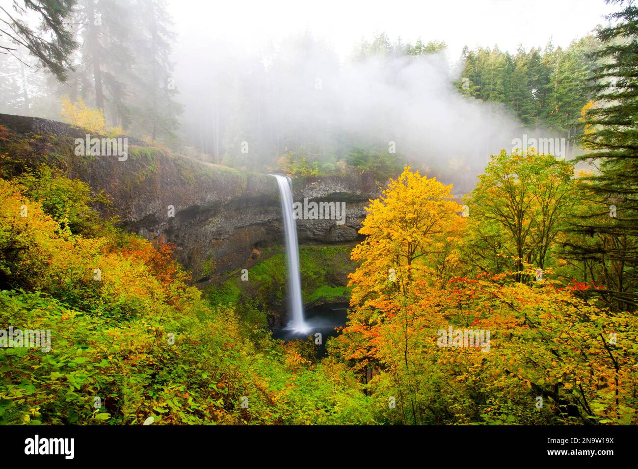 South Falls plätschern in einem Pool mit Nebel und herbstfarbenem Laub im Silver Falls State Park, Oregon, USA Stockfoto