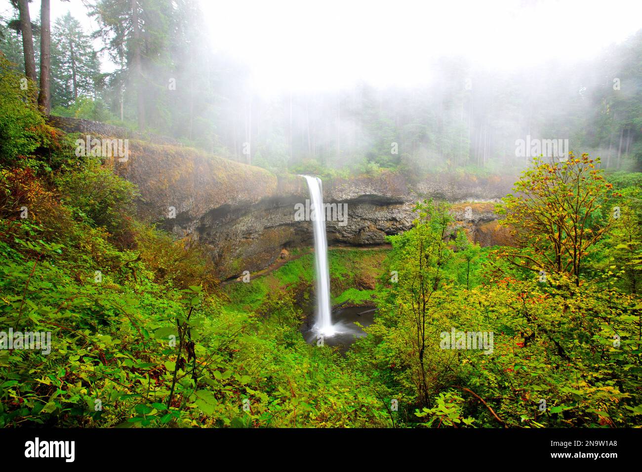 South Falls plätschern in einem Pool mit Nebel und herbstfarbenem Laub im Silver Falls State Park, Oregon, USA Stockfoto