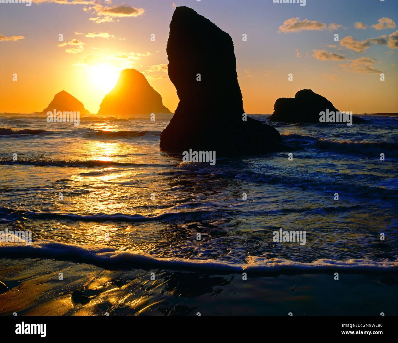 Goldener Sonnenuntergang über Felsformationen an der Küste von Oregon, USA; Oregon, Vereinigte Staaten von Amerika Stockfoto