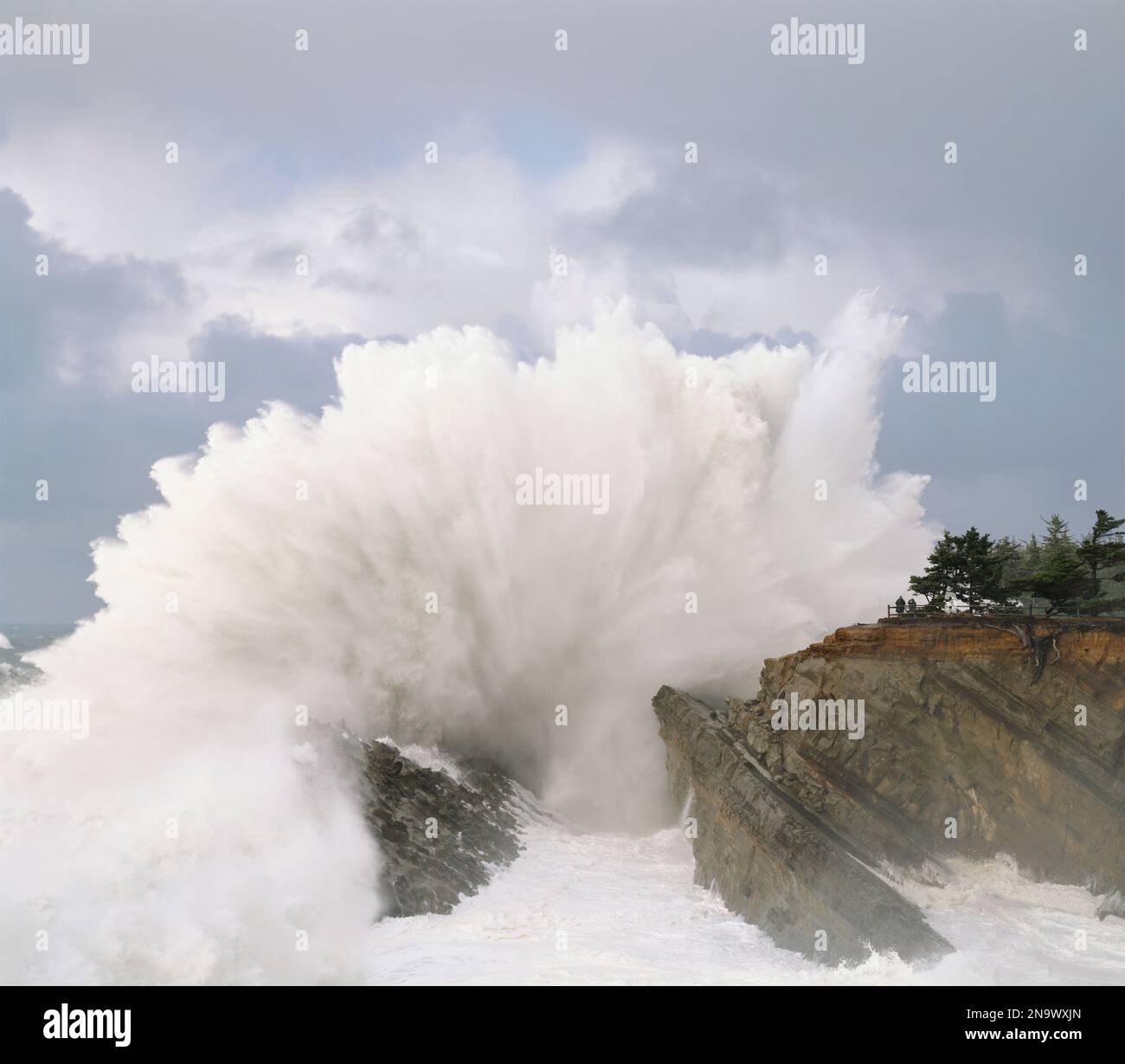 Im Shore Acres State Park bricht eine mächtige Welle gegen die Felsen, während Touristen an einem Aussichtspunkt das intensive Plätschern der Küste von Oregon beobachten Stockfoto