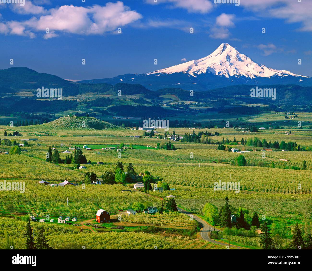 Hood River Valley und Mount Hood; Oregon, Vereinigte Staaten von Amerika Stockfoto