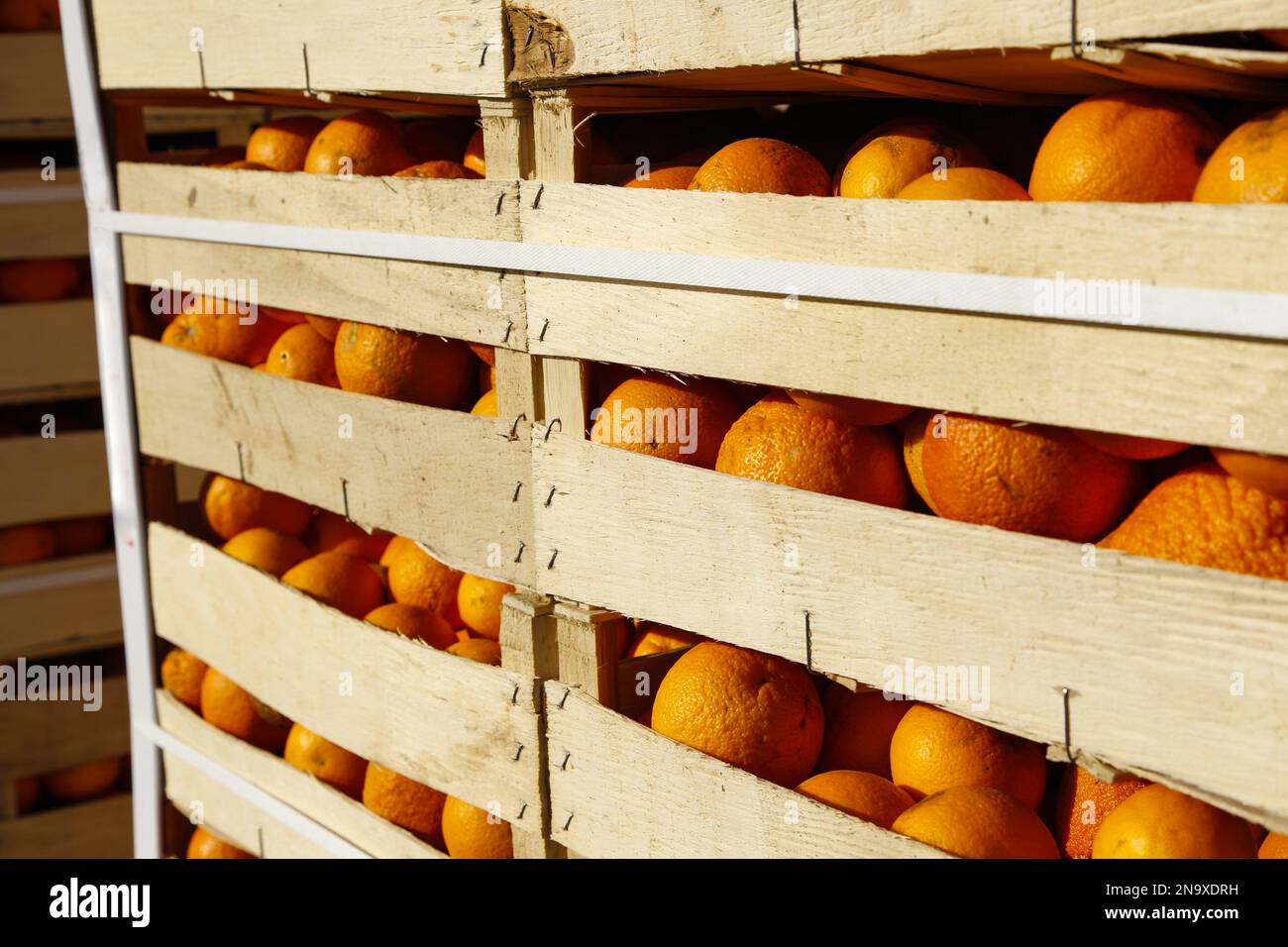 Kisten mit Orangen, die für die Schlacht von Orangen von Ivrea verwendet wurden Stockfoto