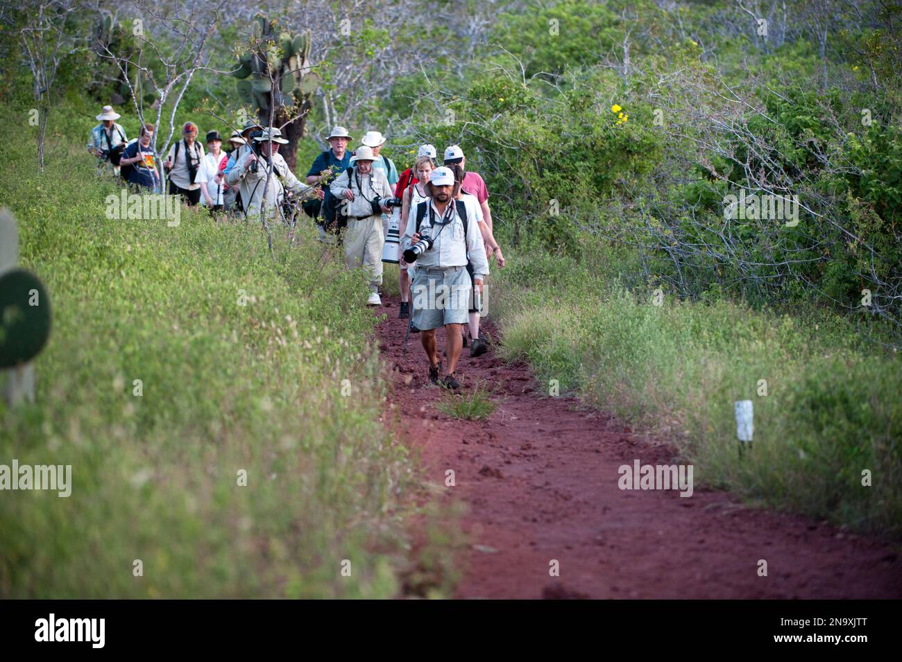 Eine Gruppe von Touristen Unternehmen einen Wanderweg auf Rabida Island im Galapagos Nationalpark. Alle Gäste müssen bei einem Reiseleiter und auf Wanderwegen übernachten... Stockfoto