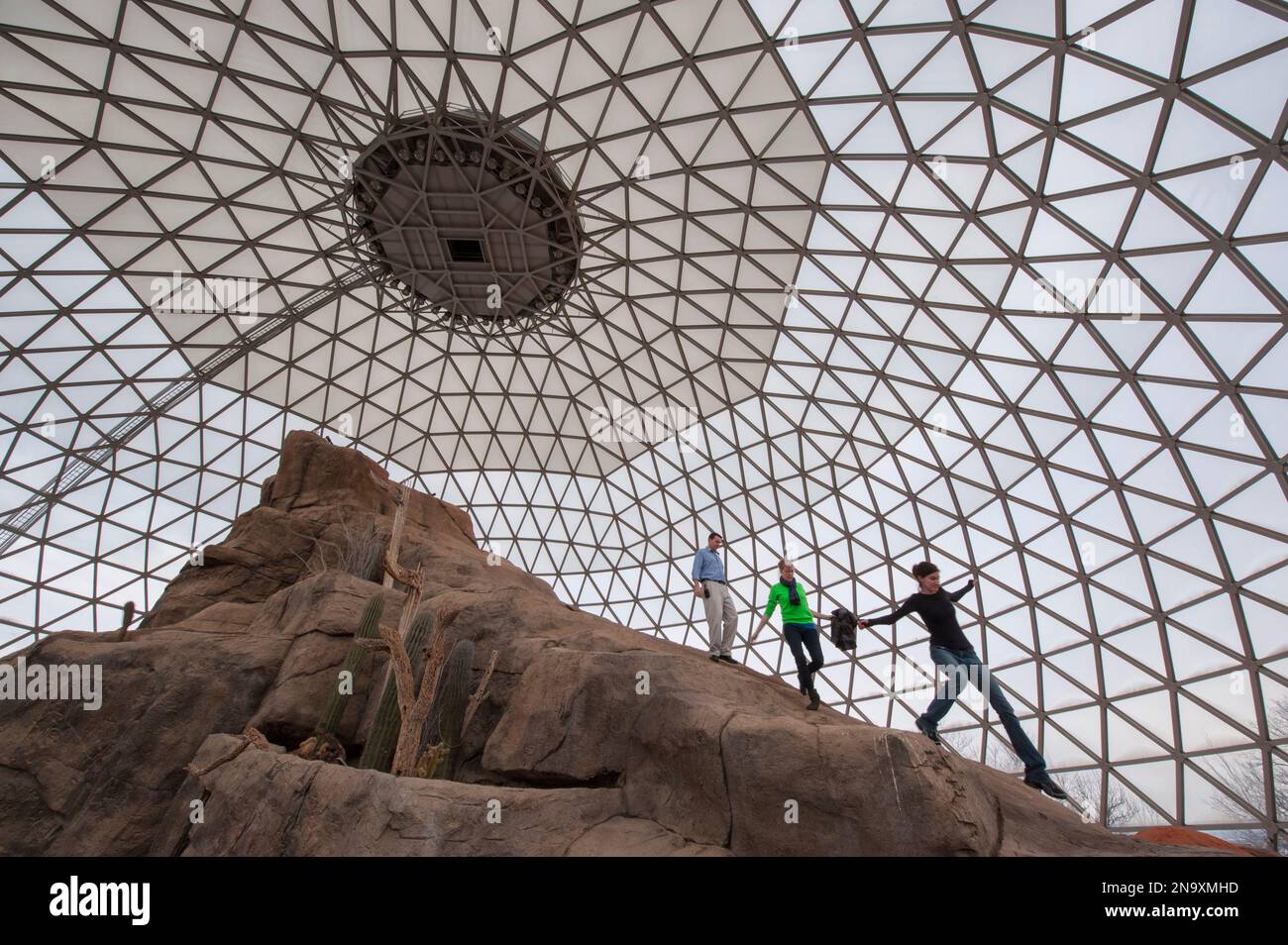 Im Inneren des Desert Dome, der größten verglasten geodätischen Kuppel der Welt, im Omaha Zoo; Omaha, Nebraska, Vereinigte Staaten von Amerika Stockfoto