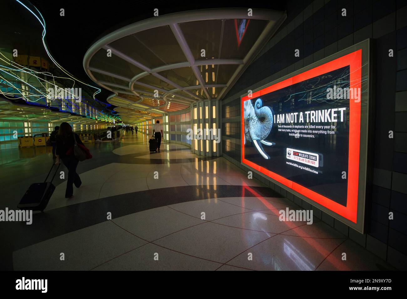 Ein Elefantenbewußtsein-Poster ist auf einem Flughafen in Chicago, Illinois, USA, ausgestellt Stockfoto