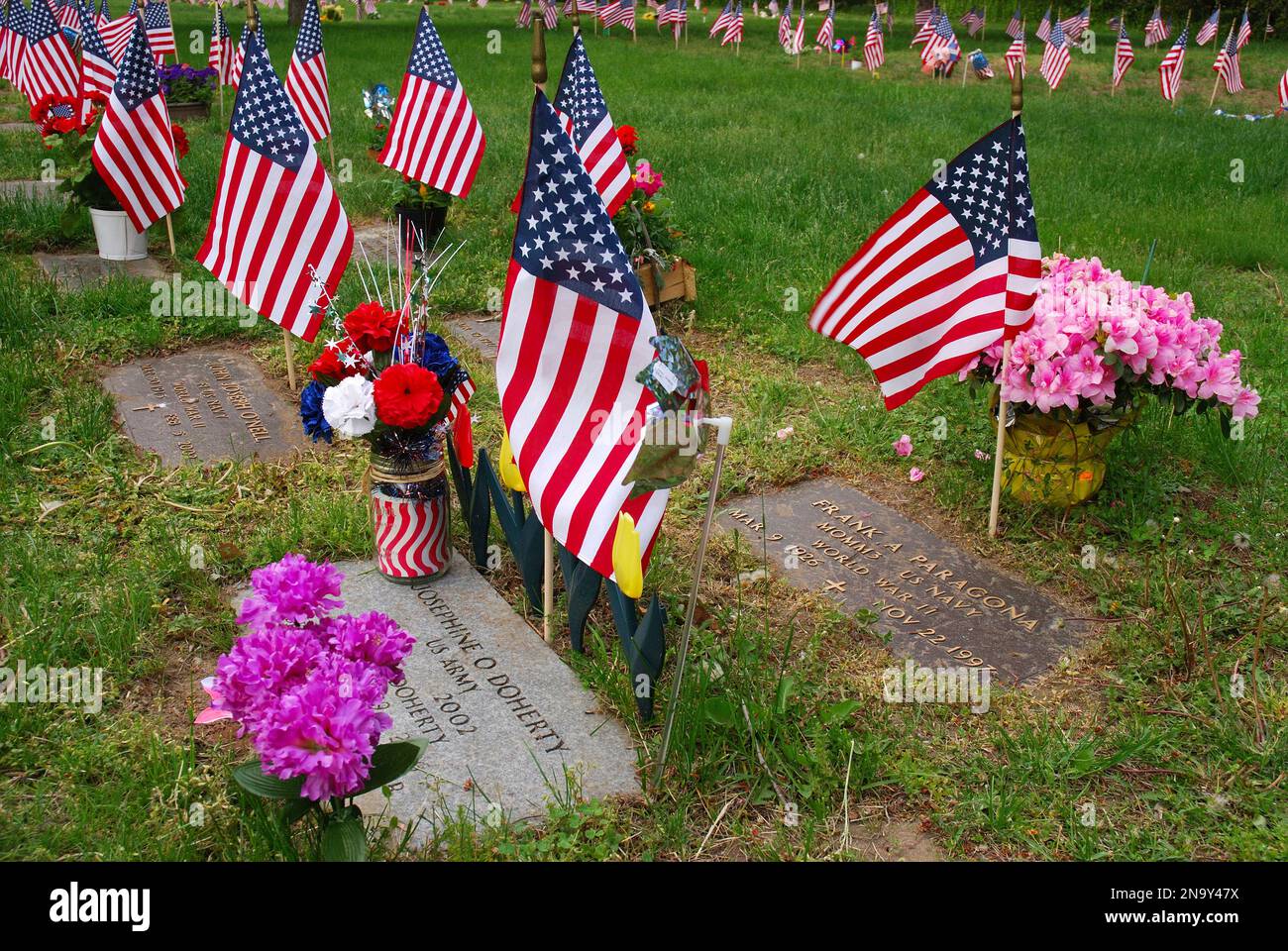 Flaggen erinnern an verstorbene Soldaten und Frauen am Memorial Day. Arlington, Massachusetts. Stockfoto