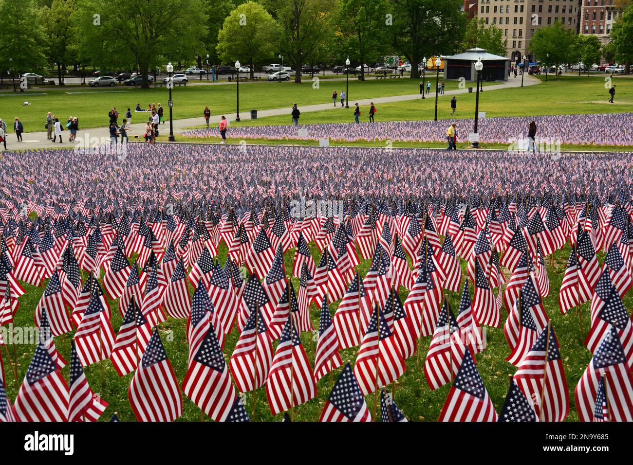 Eine Gedenkfeier mit Nationalflaggen der Vereinigten Staaten von Amerika zu Ehren des gefallenen Militärs. Boston Common, Boston, Massachusetts. Stockfoto