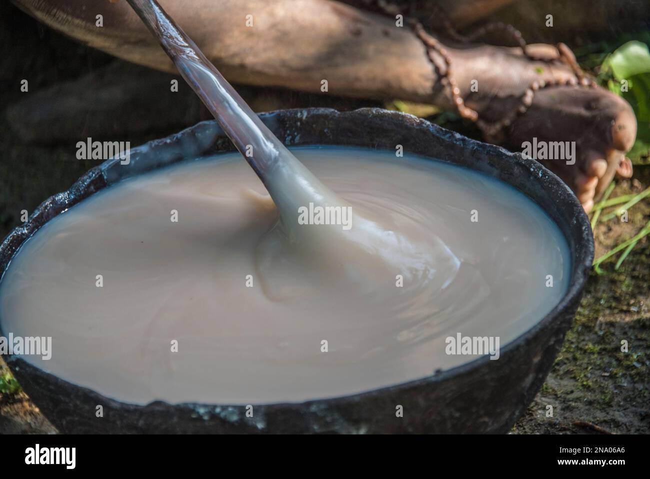 Rühren eines mit Sago hergestellten Essens in Karawari, im Sepik-Gebiet von Papua-Neuguinea. Sago ist in Form von Mehl, das normalerweise aus... Stockfoto