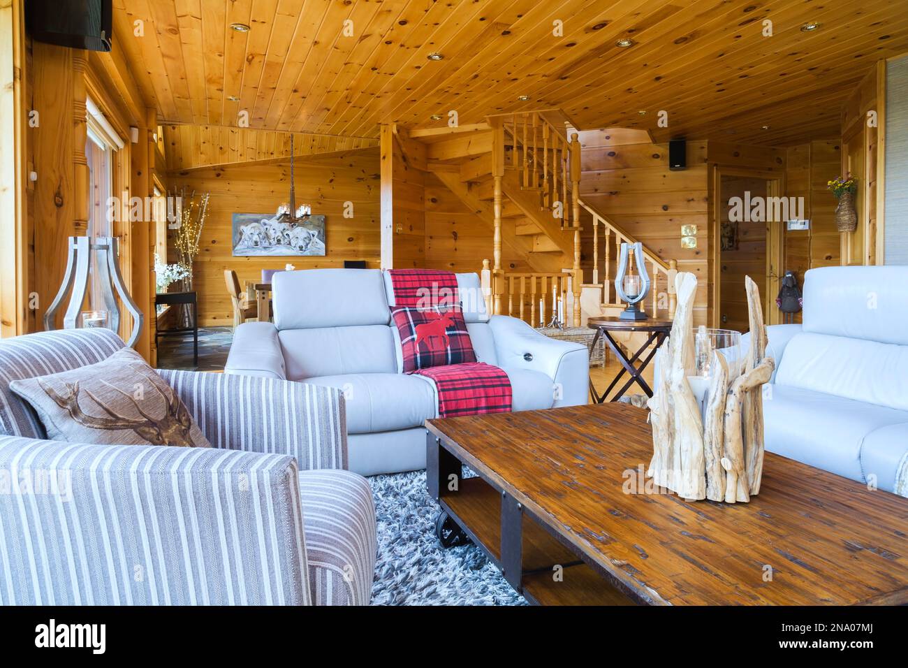 Taupe Ledersofas, grau-weiß gestreifter Stoffsessel, Couchtisch mit Holzplatte und neuseeländischer Wollteppich im Wohnzimmer in der Blockhütte. Stockfoto