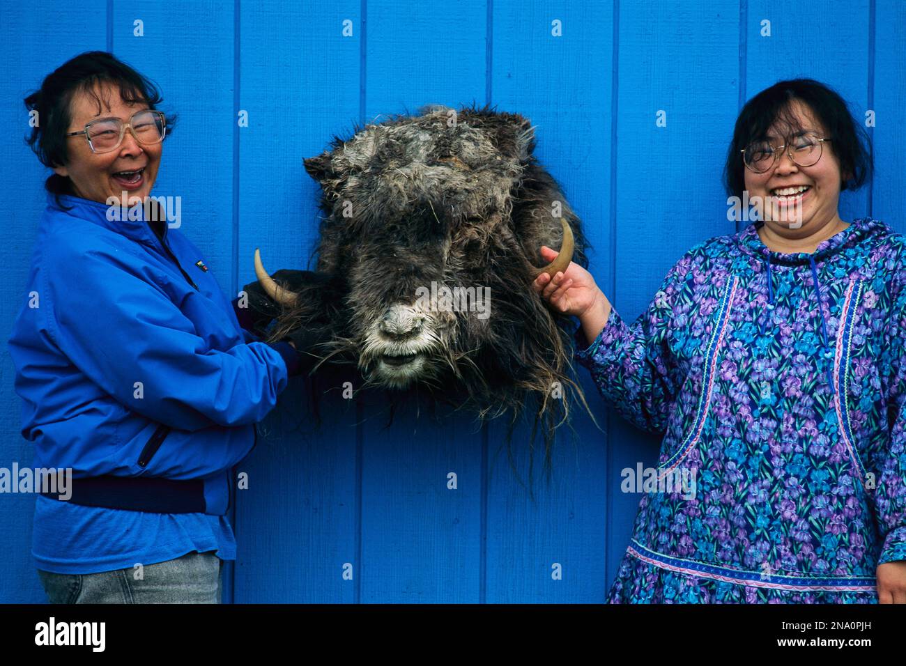 Mutter und Tochter zeigen den Kopf eines kürzlich getöteten Moschusochs auf Nunivak Island, Yukon Delta National Wildlife Refuge Stockfoto