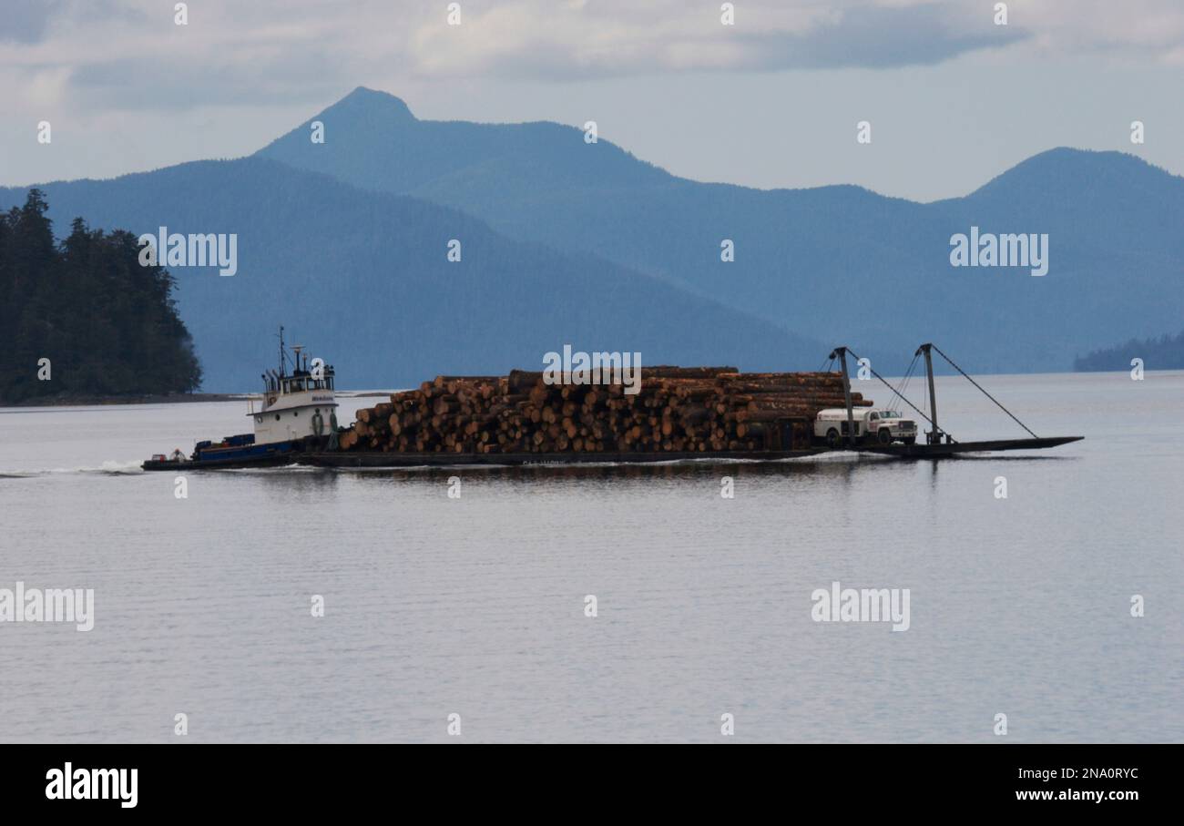 Das Holz wird auf Lastkähne geladen und zur Verarbeitung in ein Sägewerk gebracht, Alaska, USA; Klawock, Prince of Wales Island, Alaska, USA Stockfoto