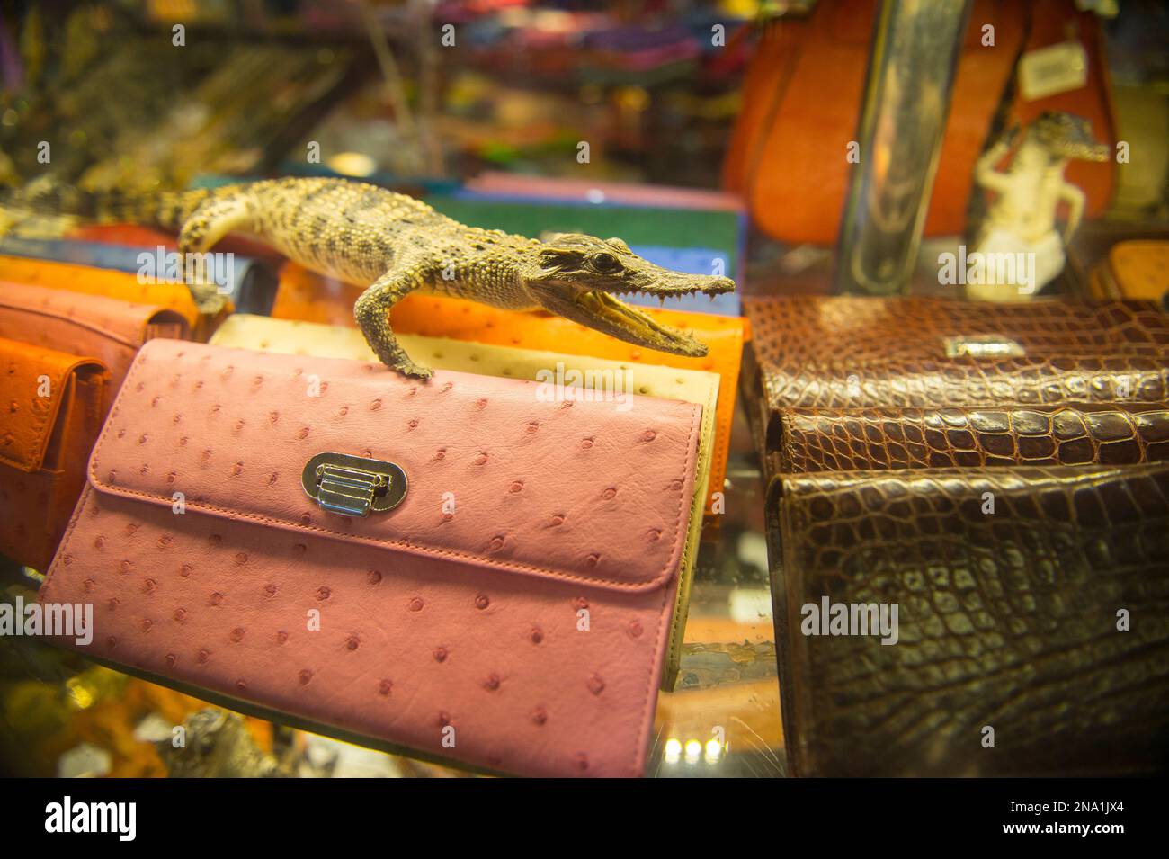 Souvenirs aus Krokodilarten werden am Flughafen Hanoi in Vietnam verkauft Stockfoto