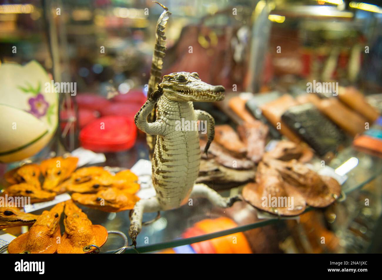 Souvenirs aus Krokodilarten werden am Flughafen Hanoi in Vietnam verkauft Stockfoto