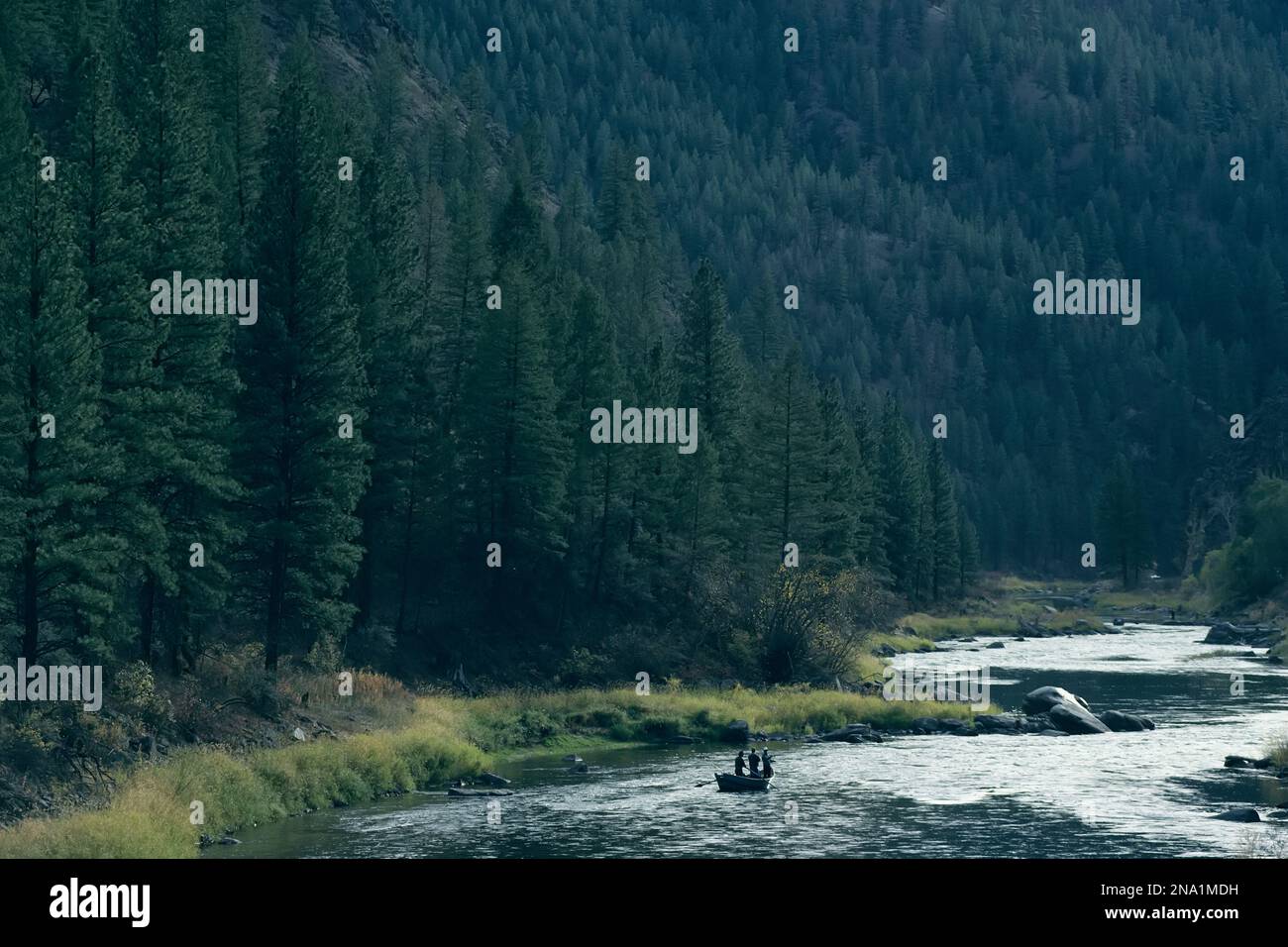 Angeln auf Steelhead am Salmon River; Salmon River, Idaho, Vereinigte Staaten von Amerika Stockfoto