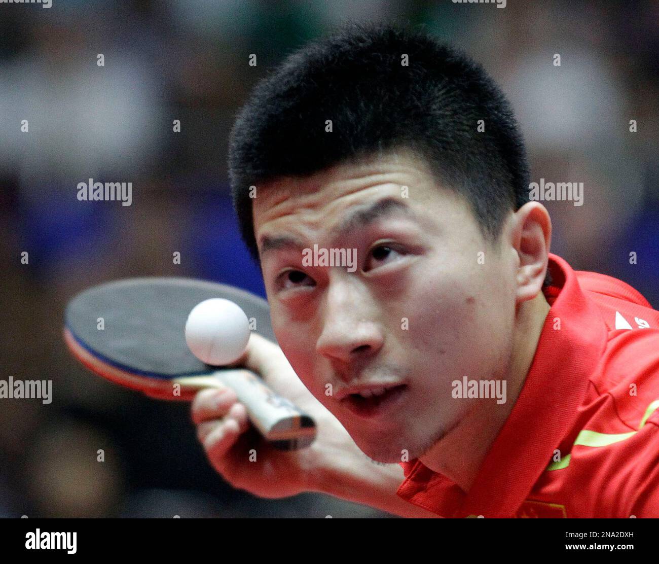 China's Ma Long serves the ball during the final of the World Team Table Tennis championships between China and Germany, on Sunday, April 1, 2012, in Dortmund, Germany. (AP Photo/Frank Augstein) Stockfoto