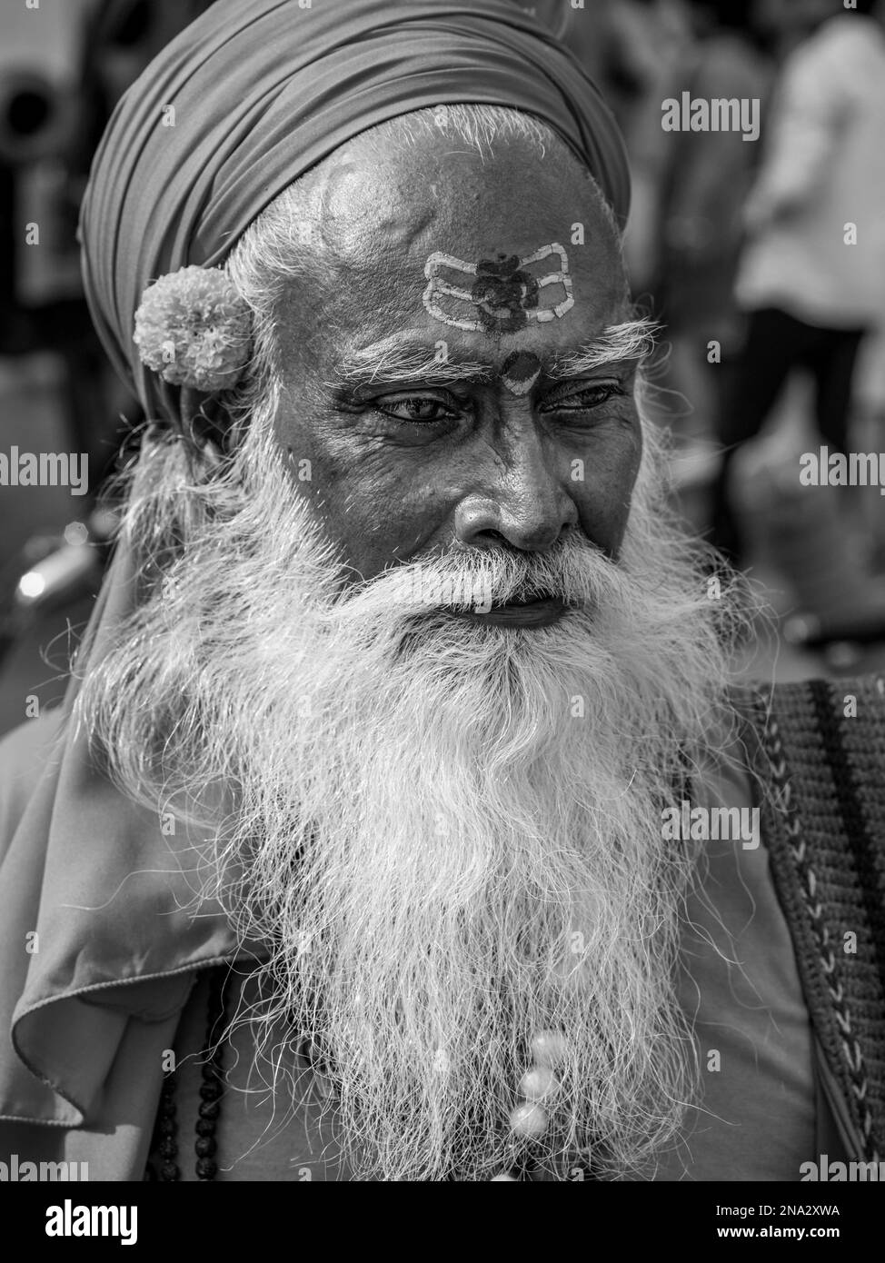 Porträt eines Hindu-Mannes; Jaipur, Rajasthan, Indien Stockfoto