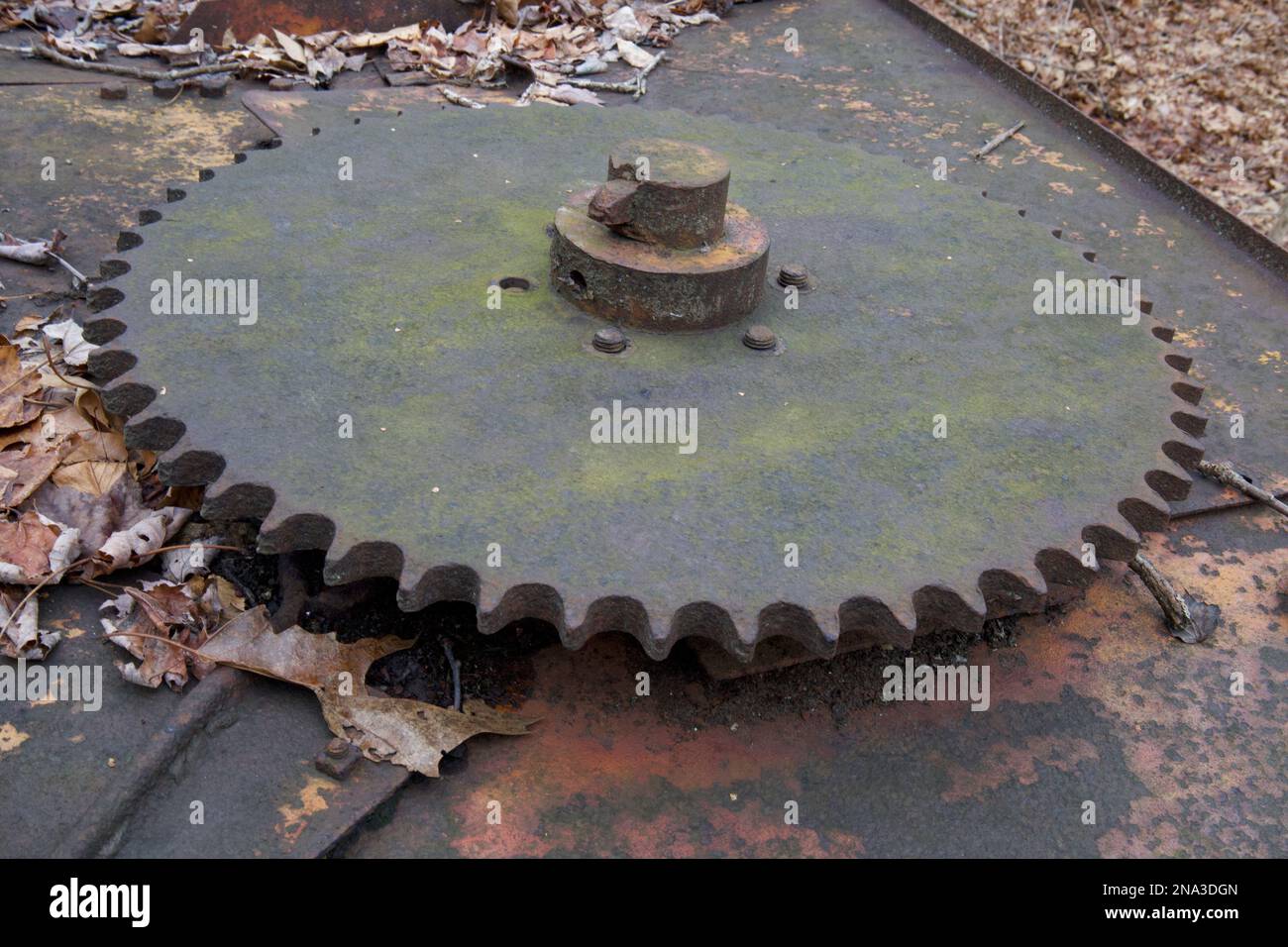 Ausrüstung wurde auf rostigen Maschinen in den Wäldern von New England gefunden. Getrocknete Blätter auf und um die rostigen Geräte. Zahnrad stärker zentriert. Stockfoto