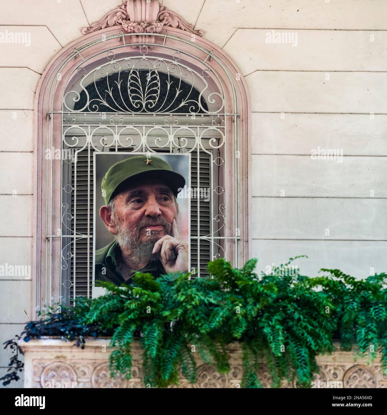 Porträt von Fidel Castro in einem Fenster; Havanna, Kuba Stockfoto