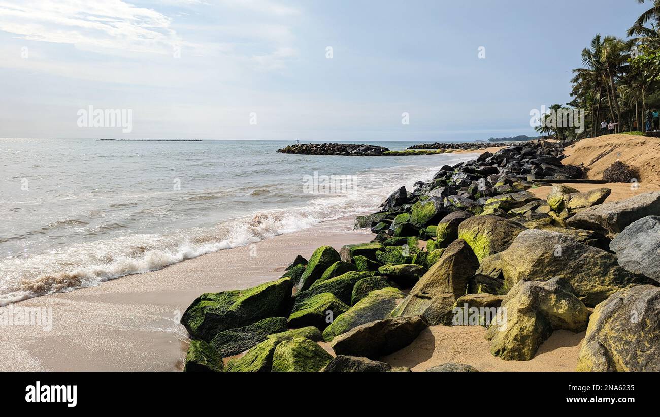 Ein Strand mit Ebbe und Felsen, die an einem Sommertag mit grünen Algen bedeckt sind Stockfoto