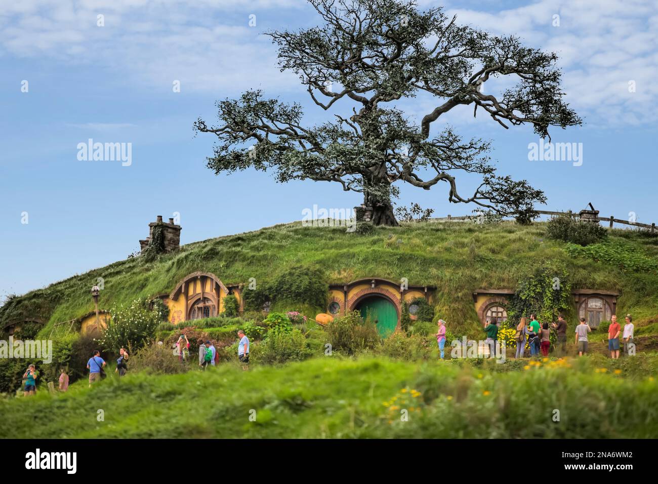 Der Touristenstopp von Hobbiton auf Neuseelands Nordinsel. Der Ort der Dreharbeiten von The Lord of the Rings Movies; Hobbiton, Waikato, Neuseeland Stockfoto