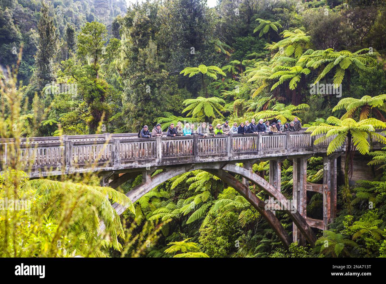 Touristen stehen auf der Bridge to Nowhere, Whanganui National Park; Manawatu-Wanganui, Neuseeland Stockfoto