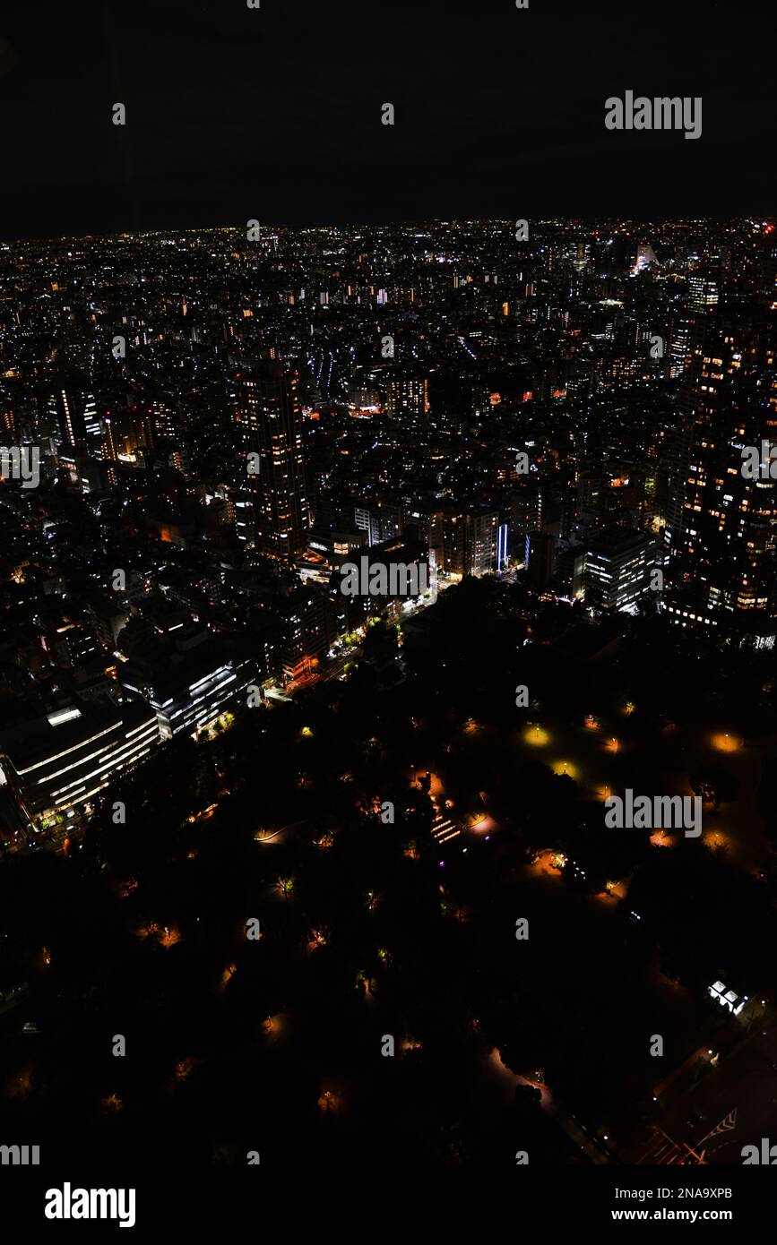 Tokio bei Nacht. Blick auf die Stadt von der Aussichtsplattform oben auf dem Tokyo Metropolitan Government Building in Shinjuku. Stockfoto