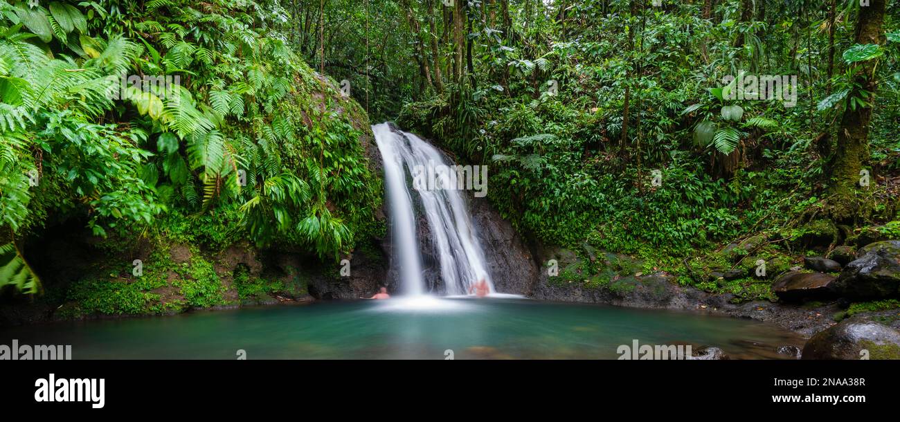 Schwimmen im Tauchbecken eines Wasserfalls in Guadeloupe auf den französischen Westindischen Inseln; Guadeloupe, Frankreich Stockfoto