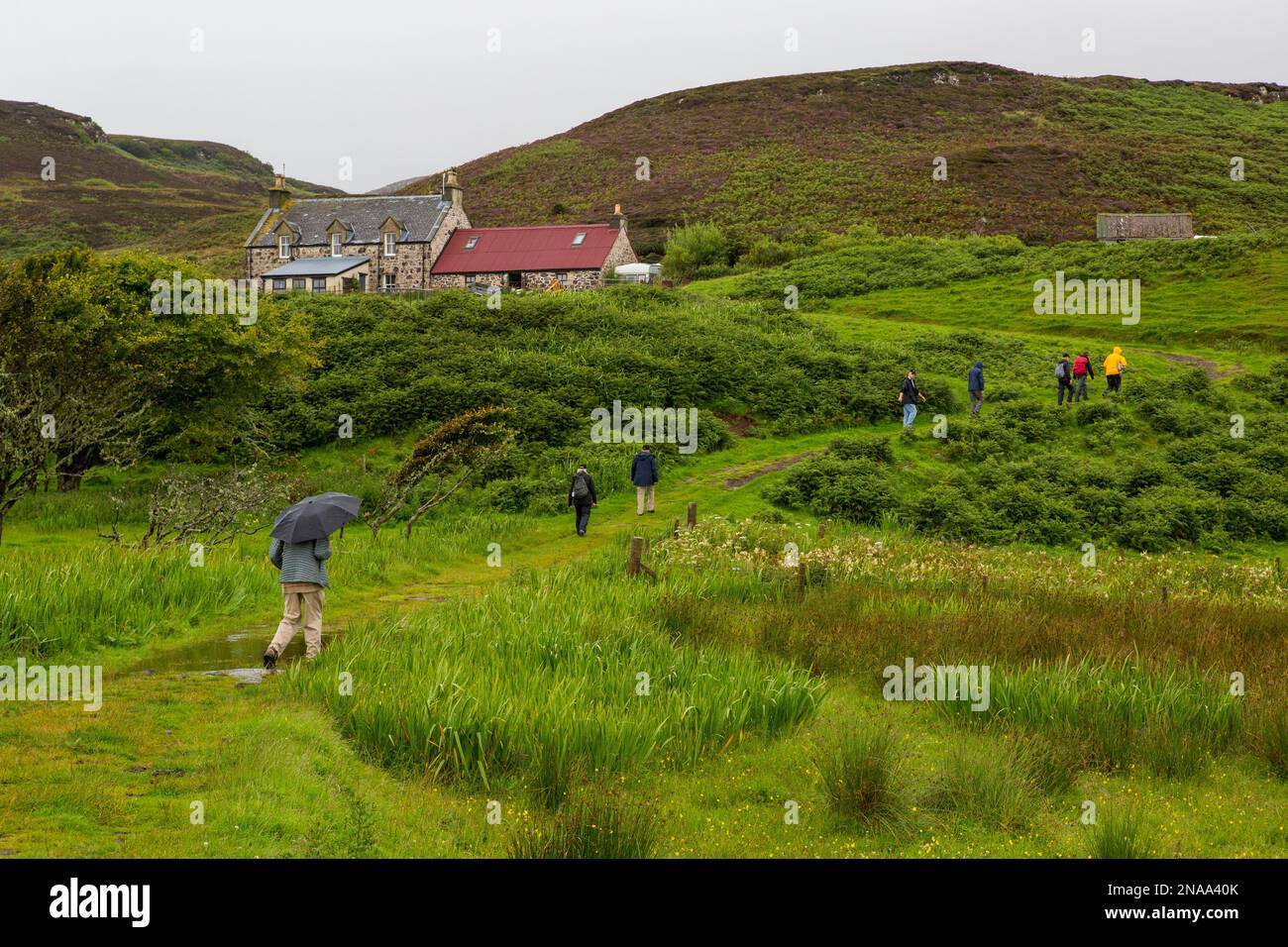 Wanderer durchqueren die Landschaft vor einem Sgurr, Isle of Eigg, Schottland. Stockfoto