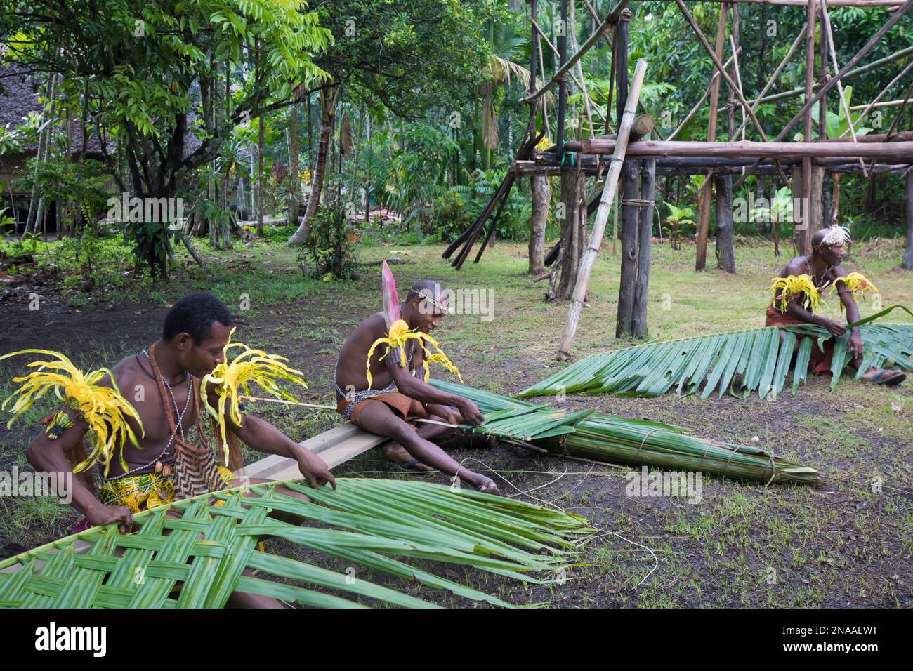Dorfbewohner, die Palmenblätter in Madang, Papua-Neuguinea webten Stockfoto