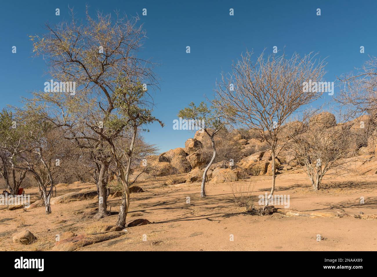 Die Landschaft des Erongo-Gebirges in Namibia Stockfoto