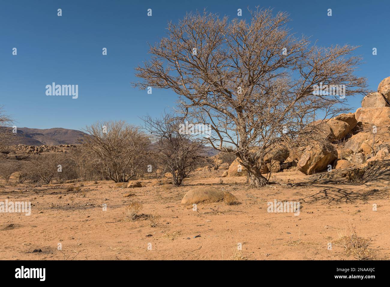 Die Landschaft des Erongo-Gebirges in Namibia Stockfoto