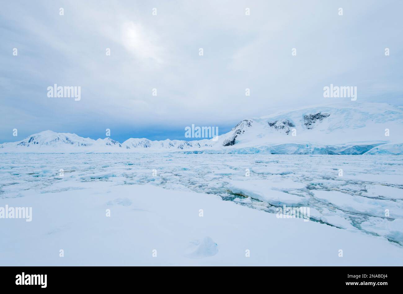 Pack Eis im Neumayer Channel; Antarktis Stockfoto