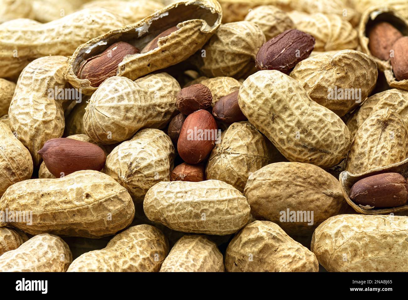 Schalen-Erdnussansammlung mit Nahaufnahme des Hintergrunds Stockfoto