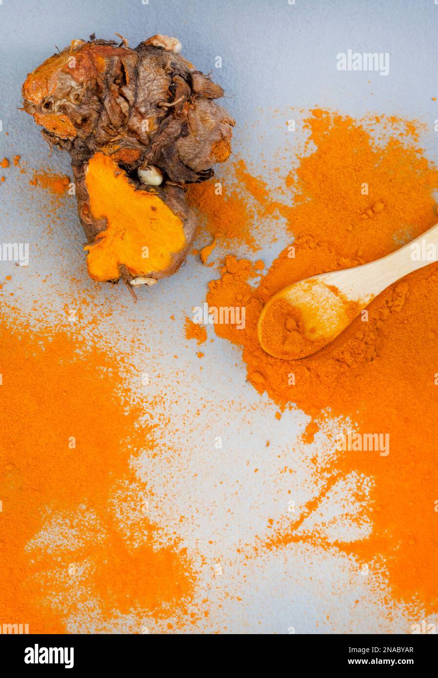 Kurkuma-Rhizome und Puder liegen flach auf Grau mit Kopierbereich Stockfoto