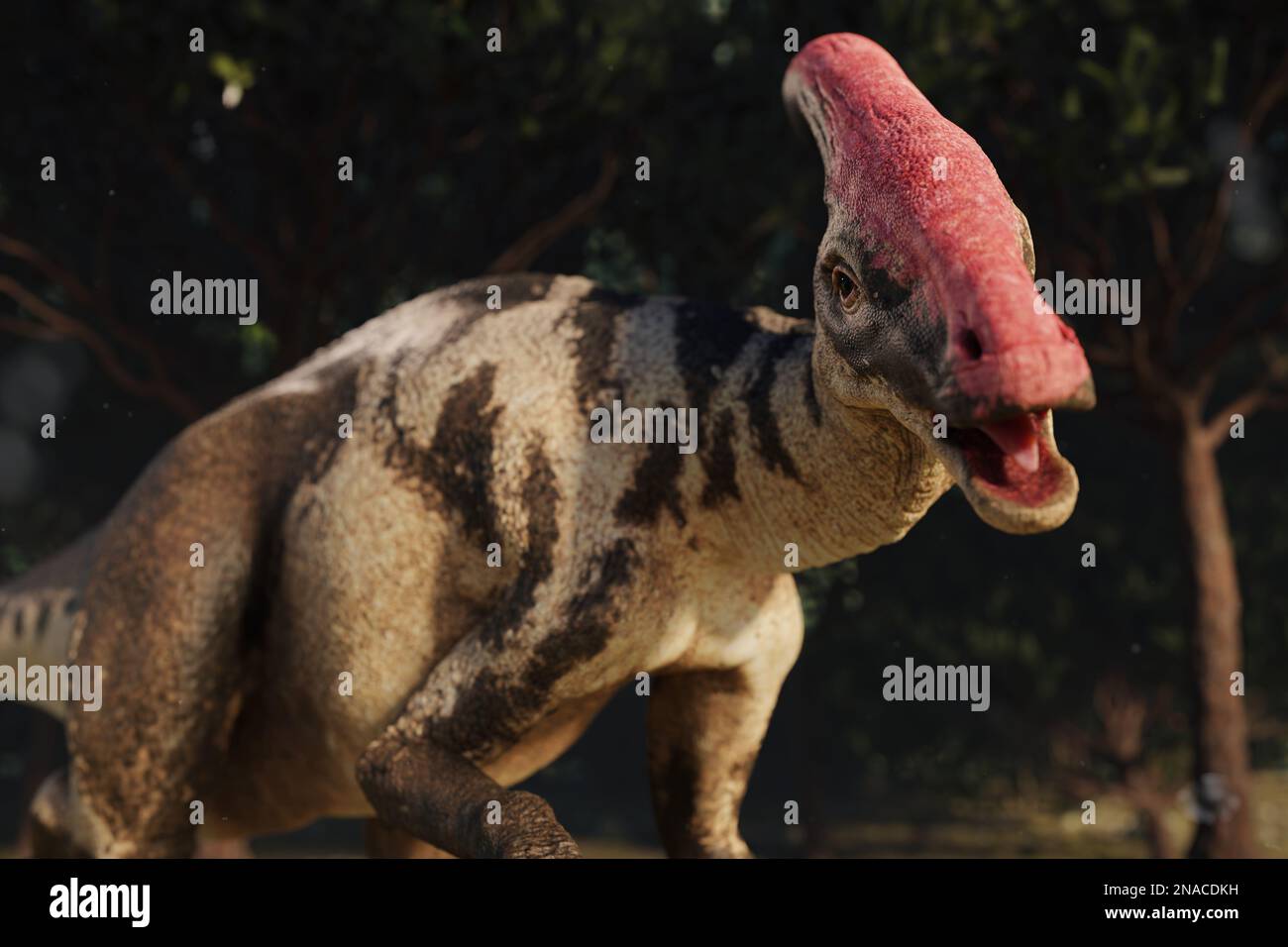 Parasaurolophus, Dinosaurier in einer Waldlandschaft Stockfoto