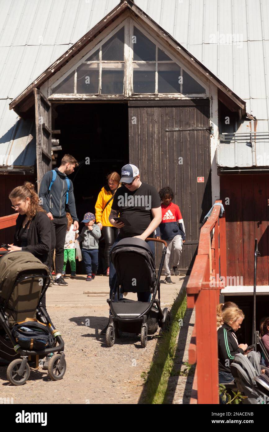 Umea, Norrland Schweden - 11. Juni 2022: Familien auf 4H Farm im Sommer Stockfoto