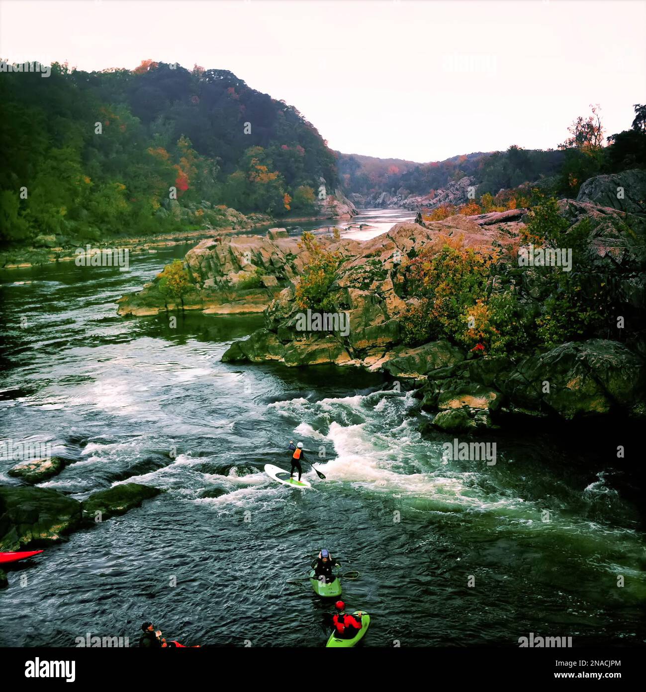 Ein Kind auf einem Stand-up-Paddle-Board surft auf kleinen Wellen auf dem Potomac River bei Maryland Chute in der Nähe von Potomac. Stockfoto