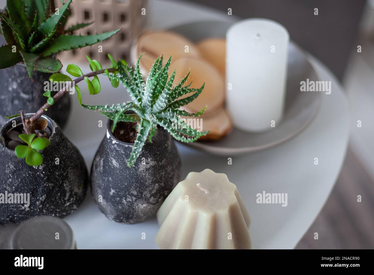 Haworthia-Blume und Kerze auf dem Couchtisch am Bett. Sukkulenten zu Hause. Komfort im Innenraum. Aromatherapie. Dekorative Kerzen. Gemütlicher Style. Hygge-Stimmung. Selektiver Fokus Stockfoto