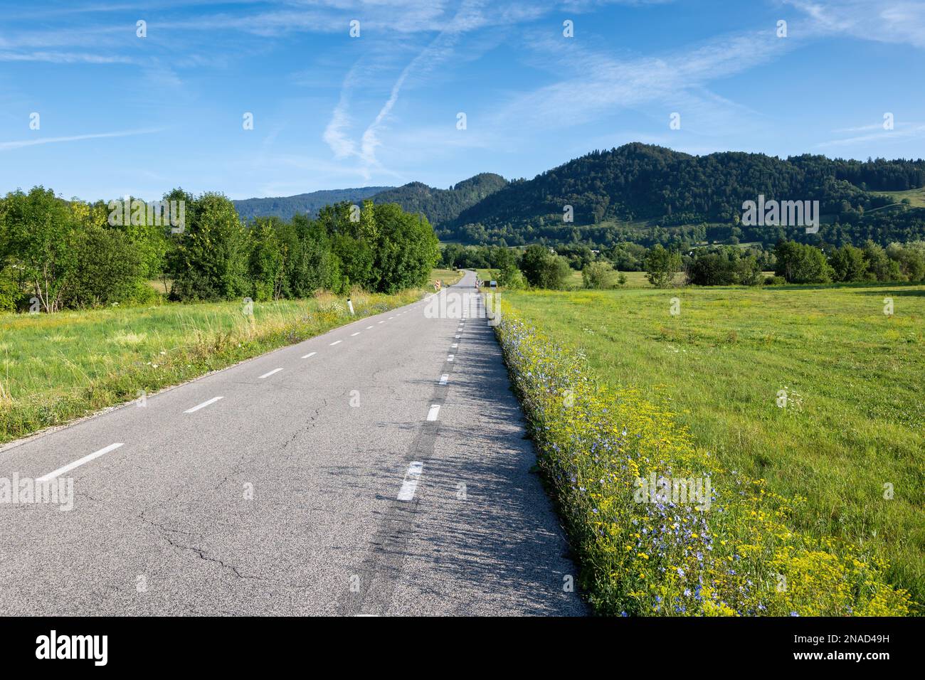 Landstraße in einer Landschaft mit Hügeln und Wiesen im Norden Sloweniens, Region Oberkrain (Gorenjska). Stockfoto