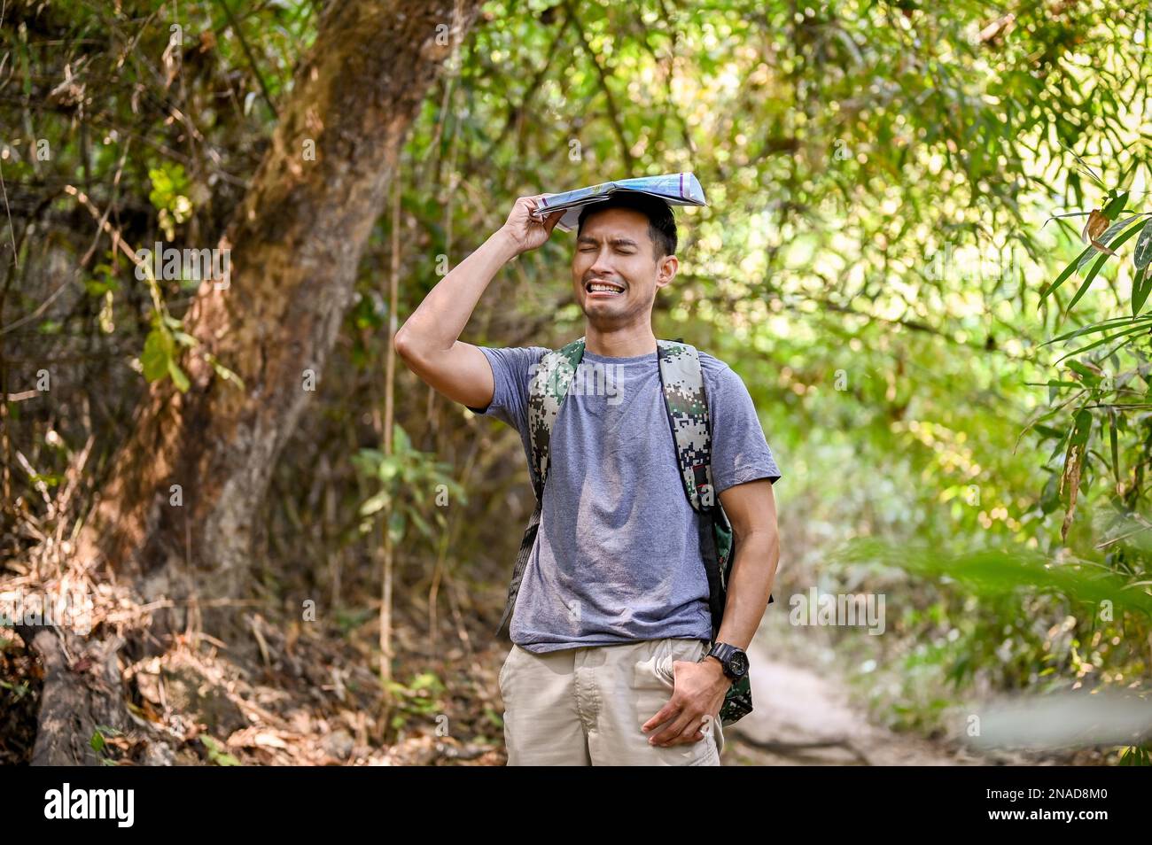 Erschöpfter, unglücklicher und verwirrter männlicher asiatischer Reisender mit Karte, verlaufen sich im Wald, während er alleine wandert. Stockfoto