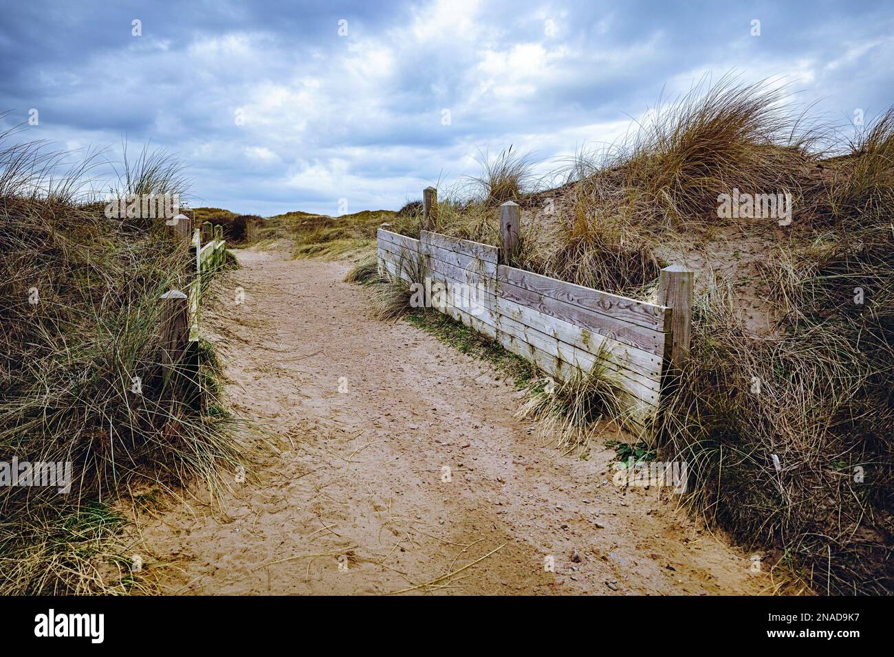 Fußweg durch die Sanddünen mit Holzbrettern, die den beweglichen Sand zurückhalten Stockfoto