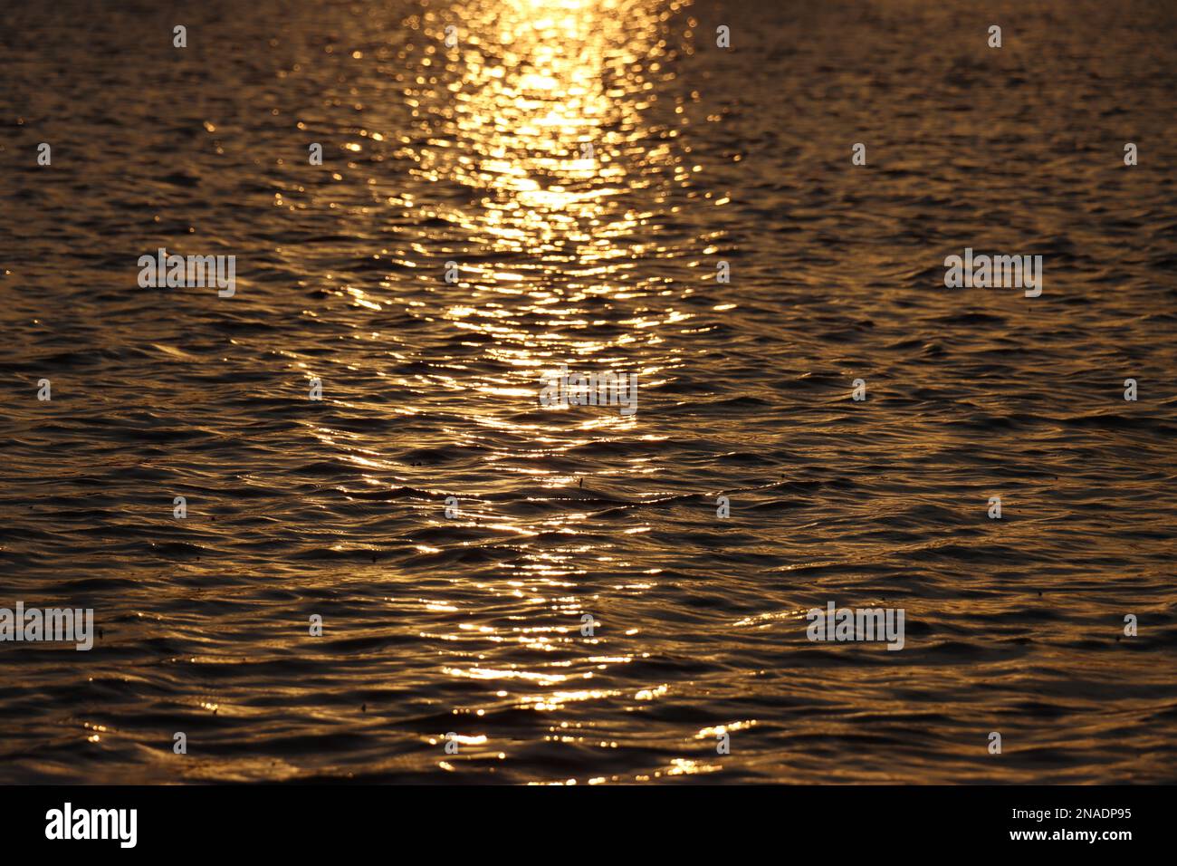 Sonnenlicht auf dem Wasser Stockfoto