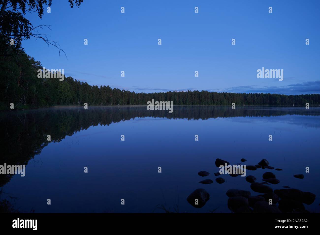 Dämmerung mit See, Wald und Steinküste. Stockfoto