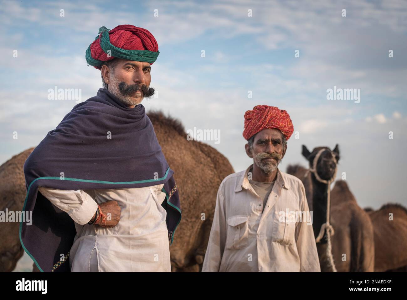 Kamelhändler, Kamelmesse Pushkar Stockfoto