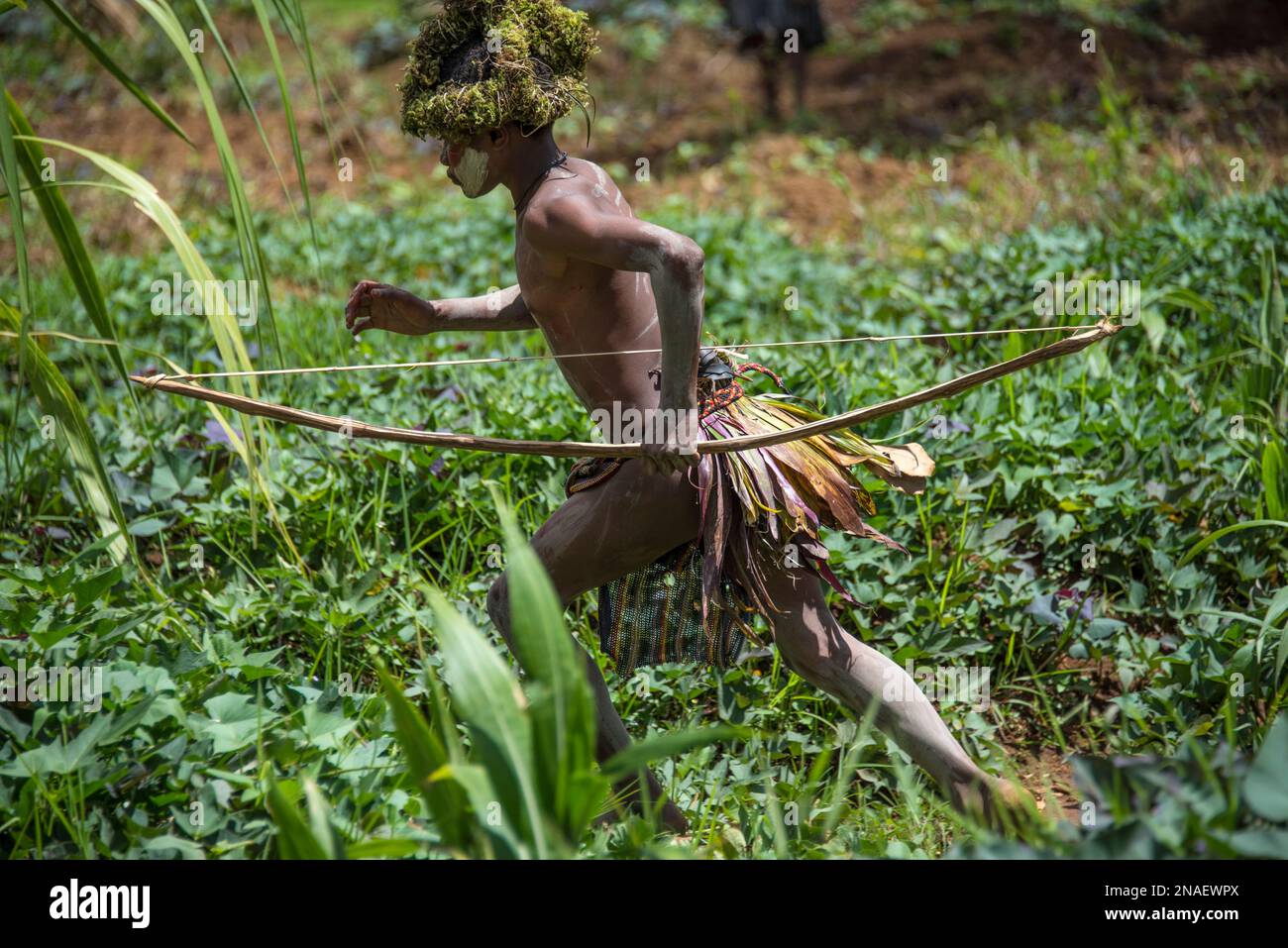 Der junge Huli-Stamm, Mitglied im Tari-Tal in den südlichen Highlands von Papua-Neuguinea, trägt eine Perücke, die als Teil seines Übergangs ins Erwachsenenalter gefertigt wurde. Stockfoto