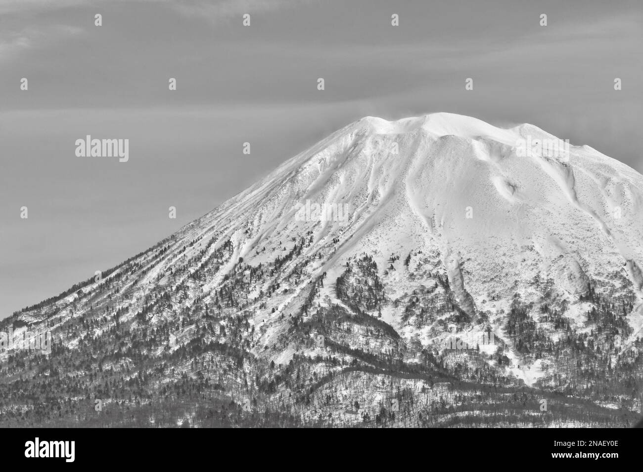 Der Berg Yotei ist an einem klaren Wintertag mit Schnee bedeckt, Hokkaido, Japan Stockfoto