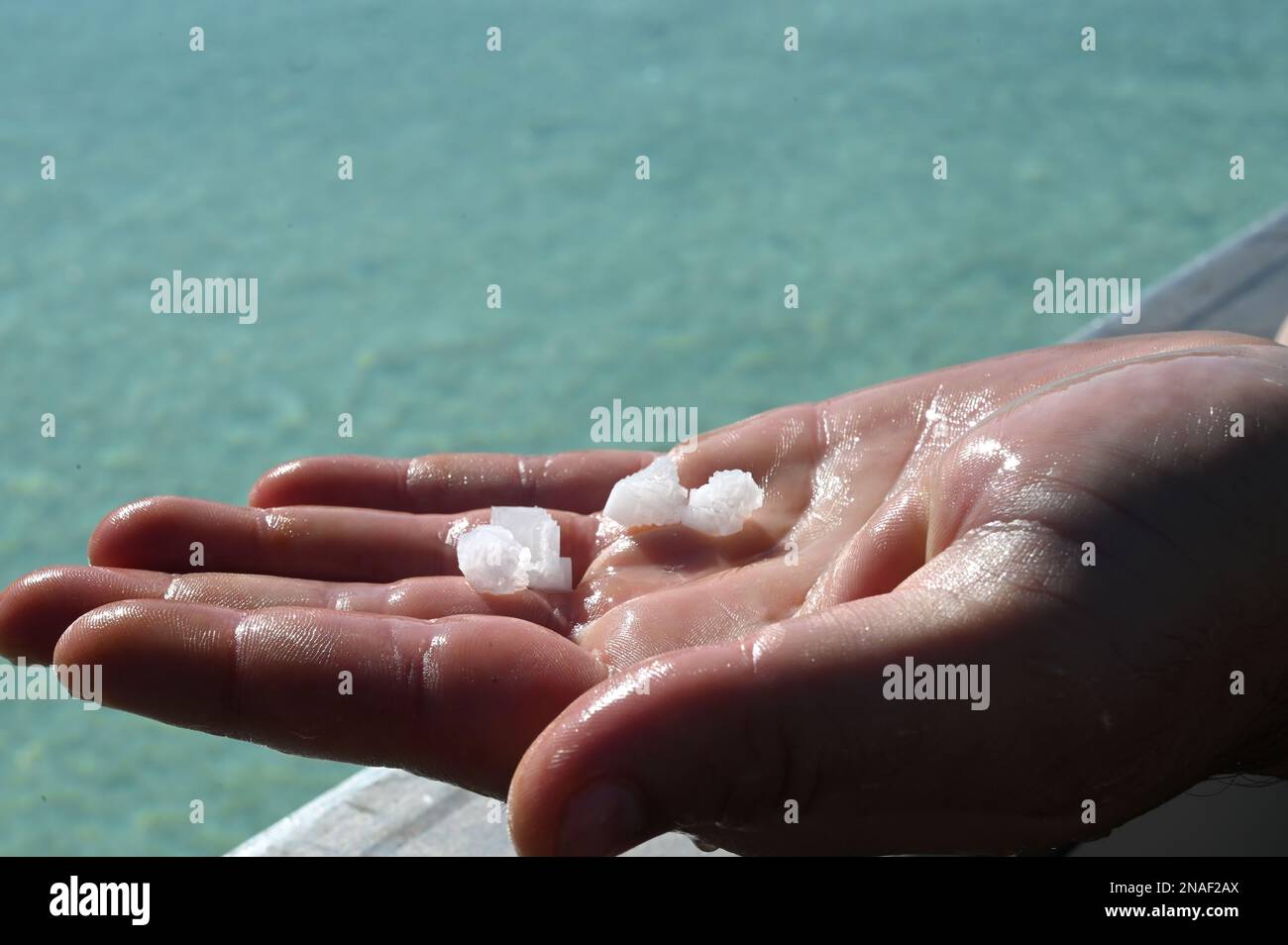 Ein Mann, der Salz aus einer salzigen Quelle in Salies-de-Béarn, Frankreich, in seiner Hand hält Stockfoto