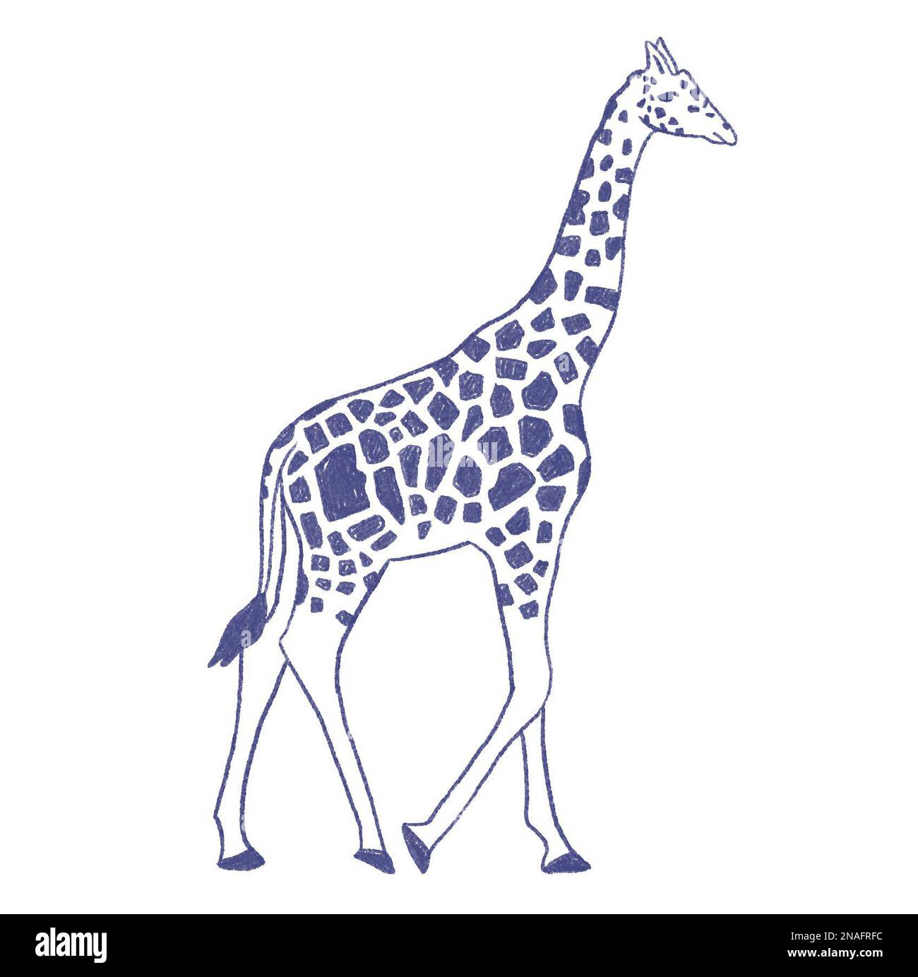 Giraffe Stockfoto