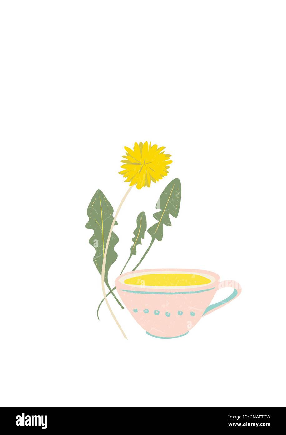 Natürliche Menopause handgezeichnete Illustration Kräuter Heilmittel gesunde Ernährung Stockfoto